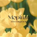 청담-113 이미지