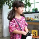 코코트리 이미지