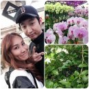 승희플라워