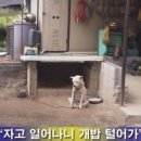 꽃님방화장품 | 쨔깅 오늘은 블챌하는 날이에용~~👵🏻👴🏻