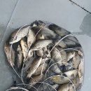 척산낚시터 이미지