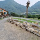 건지목장 이미지