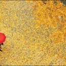 그대그리고나 이미지