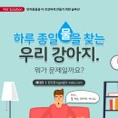 운정힐링동물병원 네이버블로그