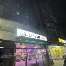 돼지냉꽃삼