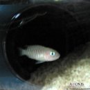 카톨릭병원 이미지