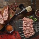 태양부양꼬치 이미지