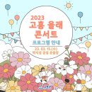 봄 설레임 콘서트 네이버블로그