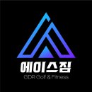 에이스골프클럽 이미지