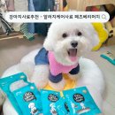 페츠베리머치 | [ 강아지사료 추천 ] 강아지눈물사료 추천 페츠베리머치 사료 후기