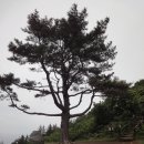 내수전 전망대 이미지