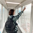 대한 | 한국에서 이집트 비행시간 대한항공 두바이 경유 후기 기내식