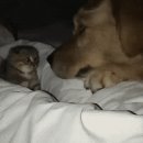 알파플러스PC방 이미지