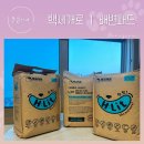백세견생 | [견생꿀템] 백세개로 강아지 배변패드 반려동물 필수품 히릿 배변패드 내 돈 내산 후기