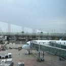 퍼시픽 | 홍콩 인천 캐세이퍼시픽 왕복 탑승후기♡