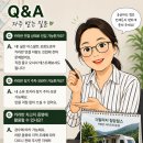 카라반힐스