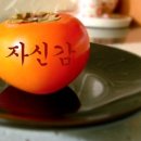 국가대표 스페셜태권도장 이미지