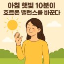 화명킹유도짐 | ☀️ “아침 햇빛 10분이 호르몬 밸런스를 바꾼다!”