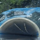 여량매표소 | 정선 레일바이크를타다