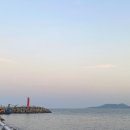 NR-6[경강로]-하-209 | 10월 일상(1) 쉽게만 살아가면 재미없어 빙고!