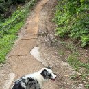 춘천목장 이미지