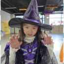 아이사랑태권도장 이미지