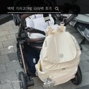 백가내자연 | 기저귀가방 백팩 타마백 내돈내산 후기