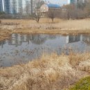 고양누리길 9코스 고봉누리길 이미지