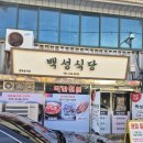 해수식당 | [ 목포 여행 필수 코스 추천 ] 백반 맛집 백성식당 이국적인 외달도 해수풀장