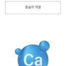 하꾸주코리아 이미지