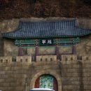 서부시장 | 영월 서부시장 메밀전병 먹거리 탐방 후기