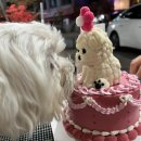 포마이댕 이미지