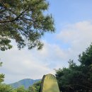 무비드