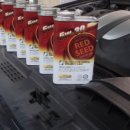 레드(RED)카모터스 이미지