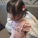 메콩타이산본점 이미지