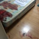 무궁화유품서비스 이미지