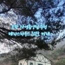 비학산자연휴양림 이미지