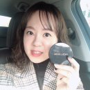 인셀덤그린대리점