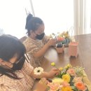 사파동342 이미지