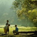 푸른잔디 이미지