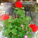 대평공원 이미지