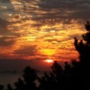 대천산호횟집 이미지