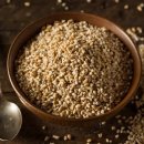 곡물이네 이미지