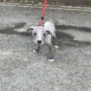 동아동물병원 이미지