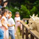 동산농장(2) 이미지