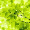 자양종합사회복지관 이미지