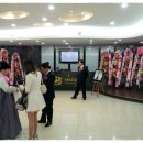 방추골 Daum카페