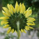 가평행정사 이미지