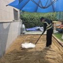 성산초등학교 병설유치원 네이버블로그