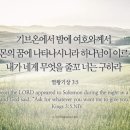 솔로몬의지혜주